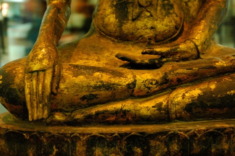 bodhi buddhismo